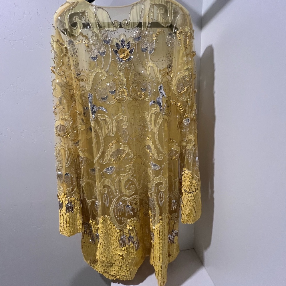 Louis Vuitton sheer sequin dress